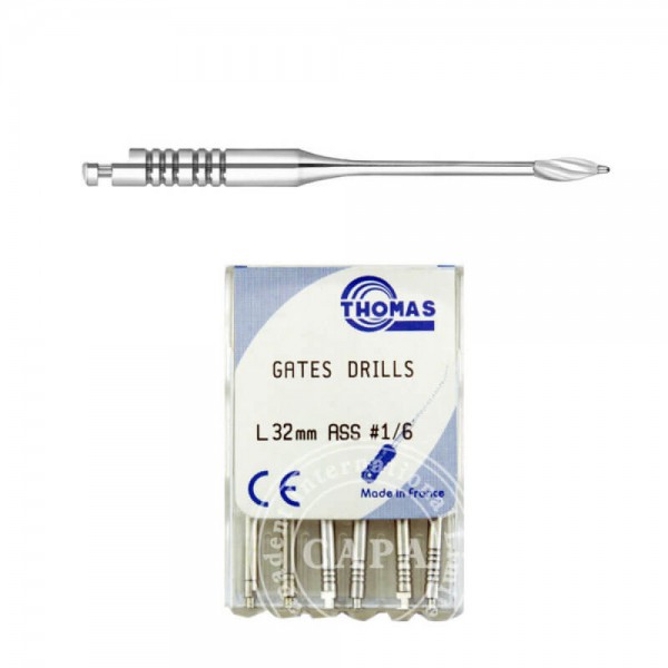 Thomas Gates Drill 28mm No. 6 Stainless Steel