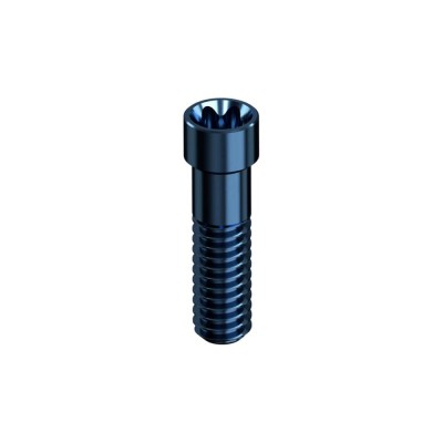 ASTRA, TECH SYSTEM EVOLUTION, Screw Smart Angle 4.2