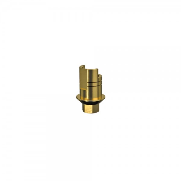 BIOHORIZONS, Non-Engaging Interface Abutment 3.0