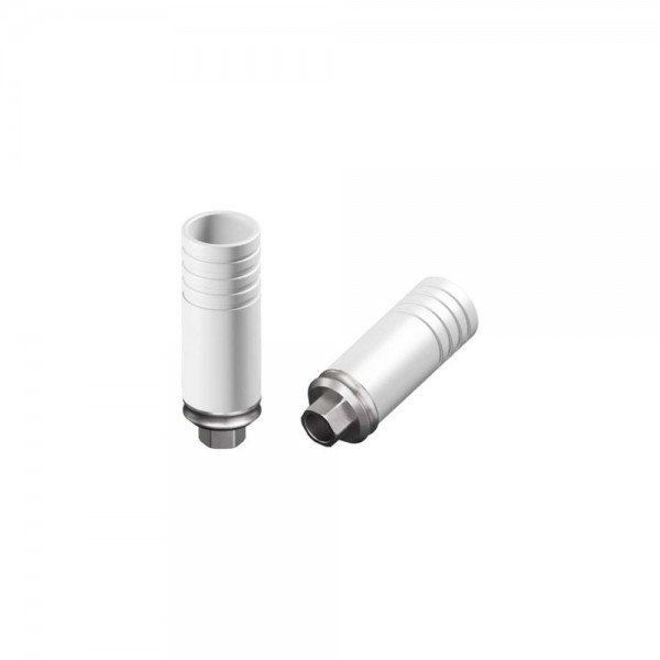 BIOHORIZONS, Over Castable Cr-Co Engaging Abutment 4.5