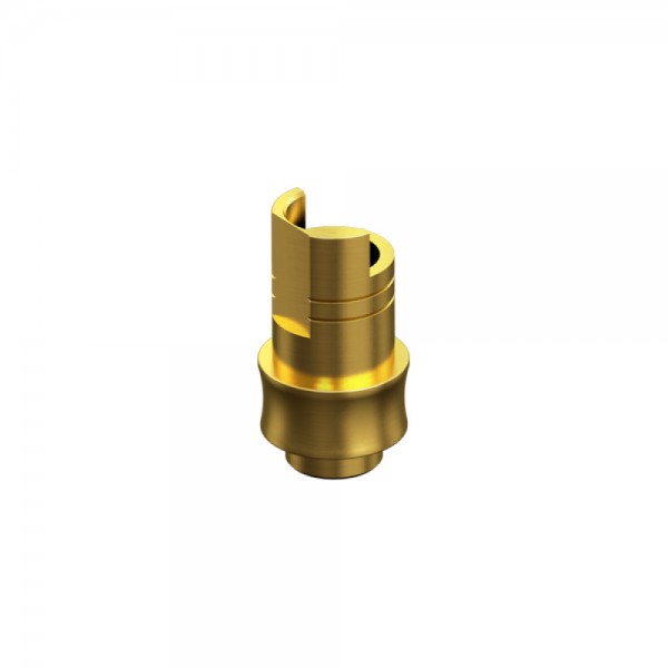 BIOMET 3i, CERTAIN, Non-Engaging Interface Abutment HG 2mm RP 4.1