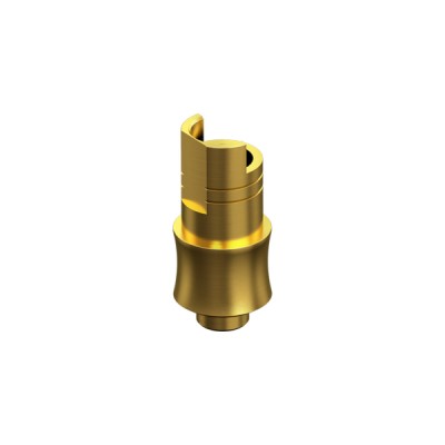 BIOMET 3i, CERTAIN, Non-Engaging Interface Abutment HG 3mm NP 3.4