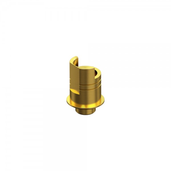 BIOMET 3i, CERTAIN, Non-Engaging Interface Abutment NP 3.4