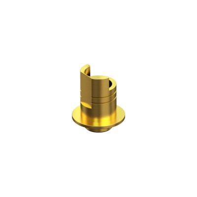 BIOMET 3i, CERTAIN, Non-Engaging Interface Abutment WP 5.0