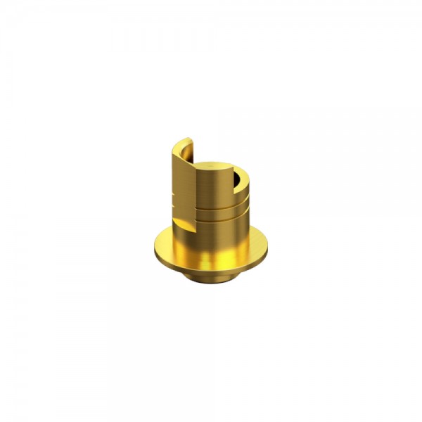 BIOMET 3i, CERTAIN, Non-Engaging Interface Abutment WP 5.0