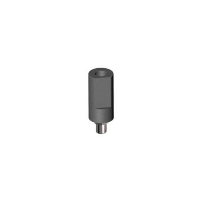 BIOMET 3i, CERTAIN, Scanbody (Ti) Abutment WP 5.0