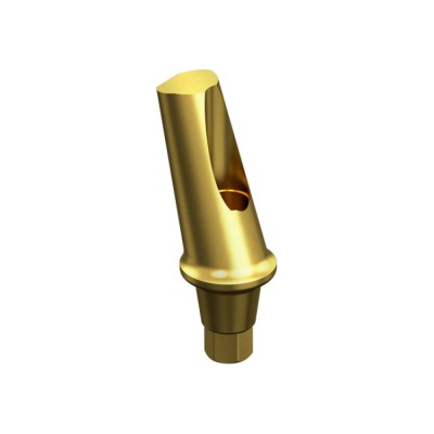 NEODENT GM, (Helix GM, Drive GM, Titamax GM) Angled Abutment 15º
