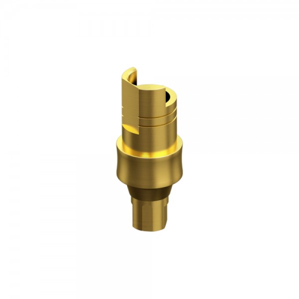 STRAUMANN, BONE LEVEL, Engaging Interface Abutment HG 2mm NC 3.3