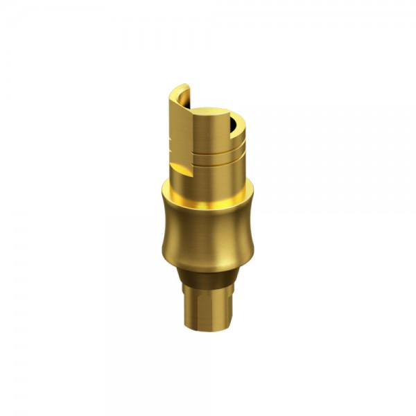 STRAUMANN, BONE LEVEL, Engaging Interface Abutment HG 2mm RC 4.1
