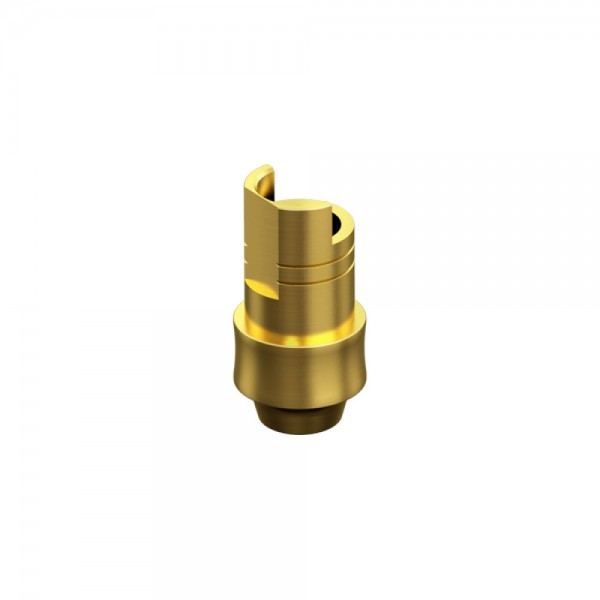 STRAUMANN, BONE LEVEL, Non-Engaging Interface Abutment HG 2mm NC 3.3