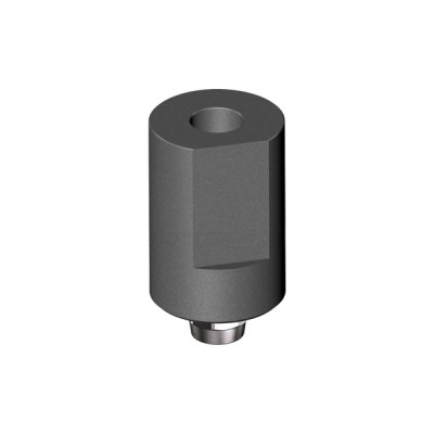STRAUMANN, TISSUE LEVEL, Direct scanbody Abutment WN 6.5
