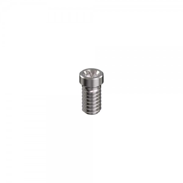 STRAUMANN, TISSUE LEVEL, Screw Synocta (Torx) WN 6.5