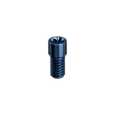 STRAUMANN, TISSUE LEVEL, Screw Synocta Smart Angle RN 4.8