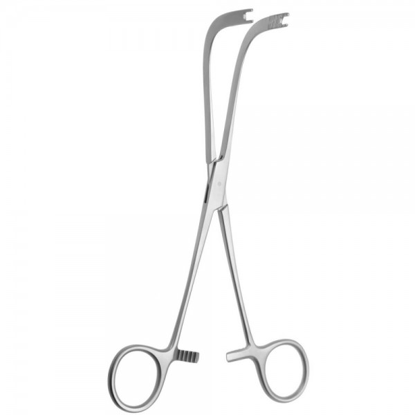 Arnhold 200mm Curved Plier