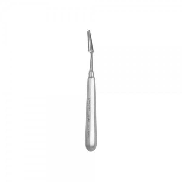 Bone Scoop/Collector Elongated Spoon