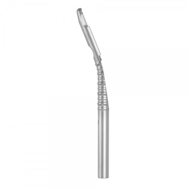 Bone Scraper Angular
