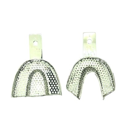 Stainless Steel Impression Tray - L