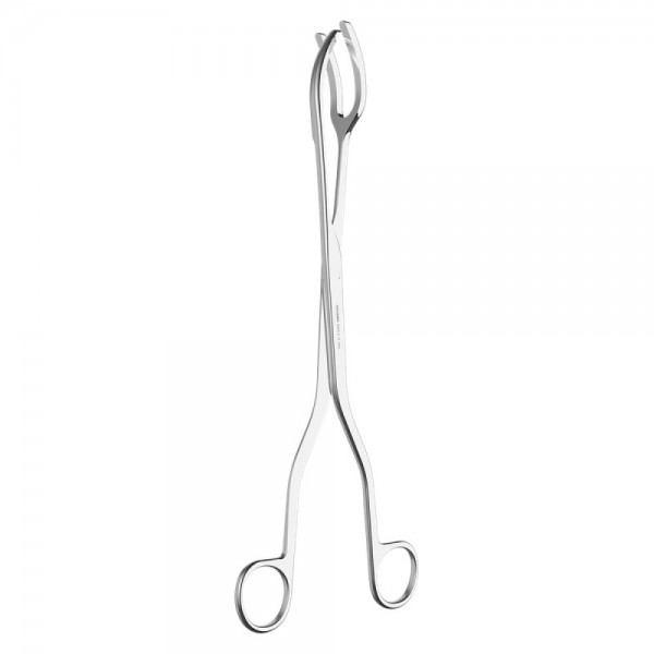 Sterilizing Forceps