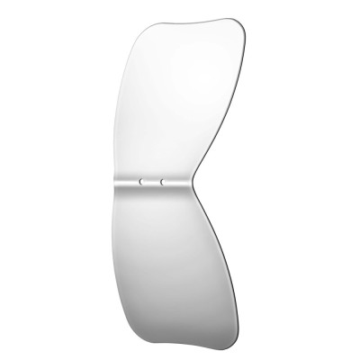 Photography Mirrors Occlusal