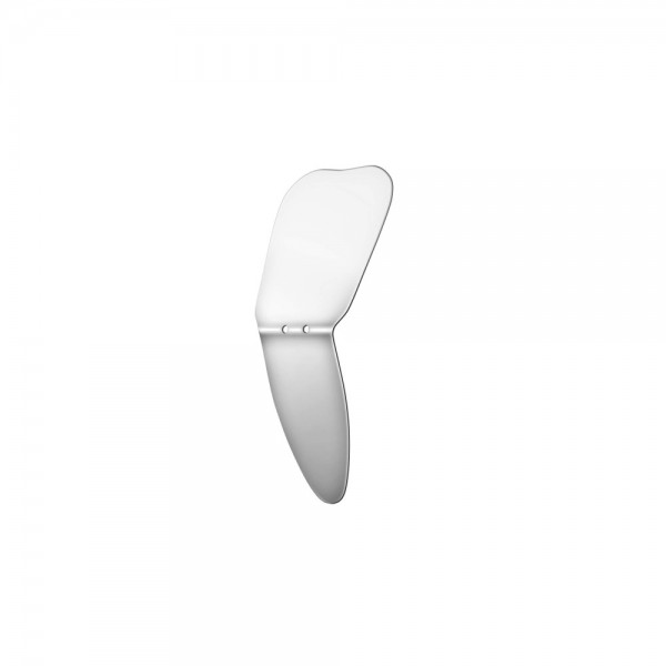 Photography Mirrors Occlusal/Buccal