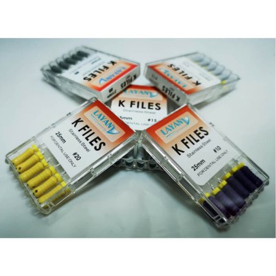 SS K-File Length 25mm Size 15