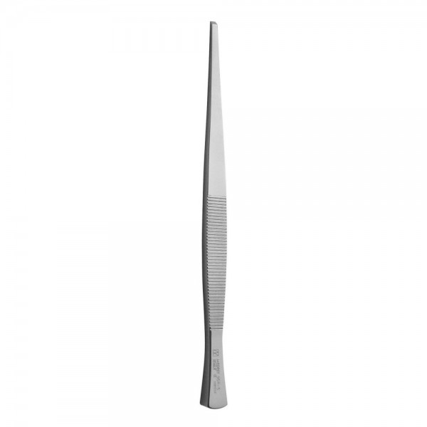 Chisel Partsch 170x6mm