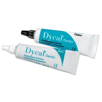 Dentsply Dycal Dentin Standard Pack