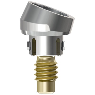 Access Abutment, 20°, 2.6mm