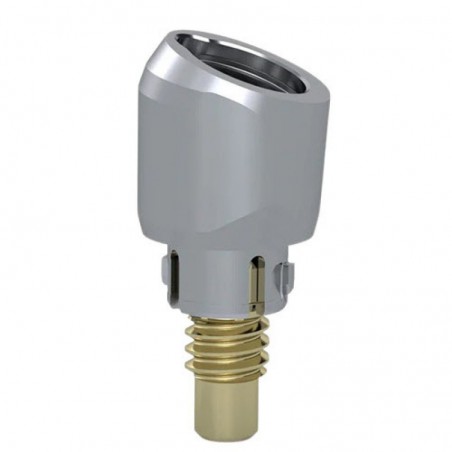 Access Abutment, 20°, 4.6mm