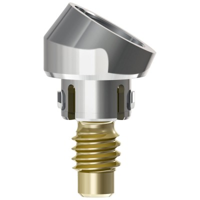 Access Abutment, 30°, 2.9mm
