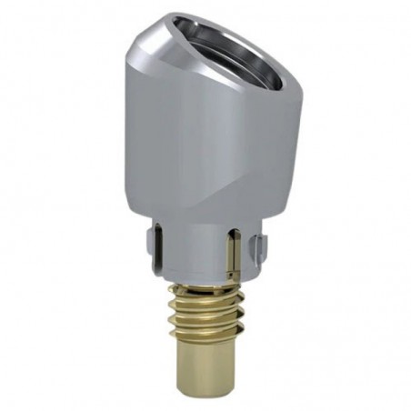 Access Abutment, 30°, 4.9mm