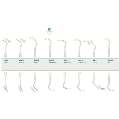 Amalgam/Composite Carver Hollenback 1/2