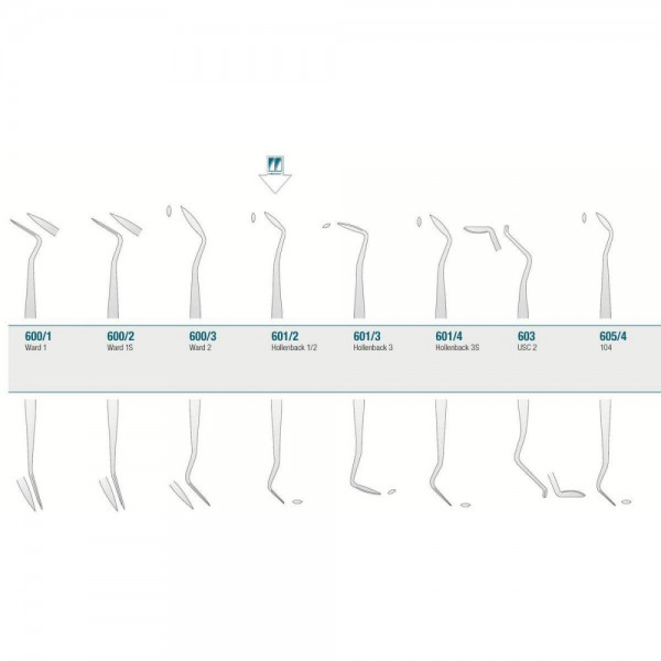 Amalgam/Composite Carver Hollenback 1/2
