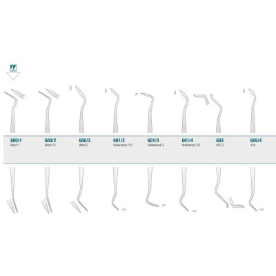 Amalgam/Composite Carver Ward 1