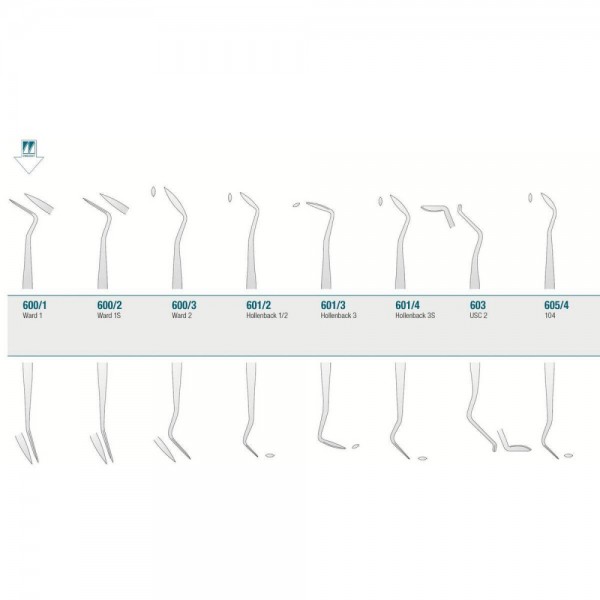 Amalgam/Composite Carver Ward 1