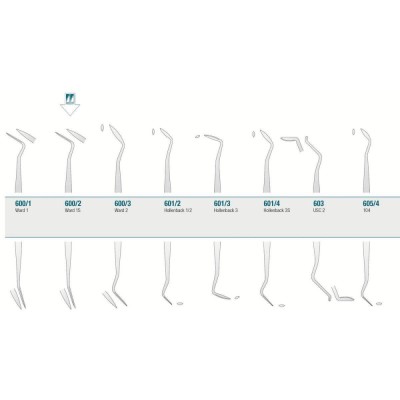 Amalgam/Composite Carver Ward 1S