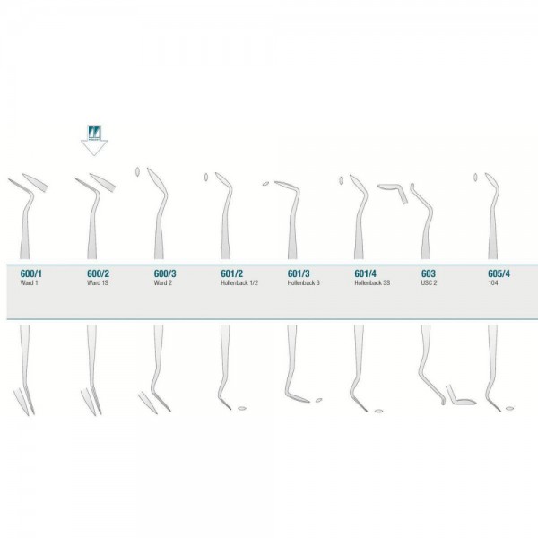 Amalgam/Composite Carver Ward 1S