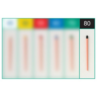 Sure-Endo Gutta Percha Points 80
