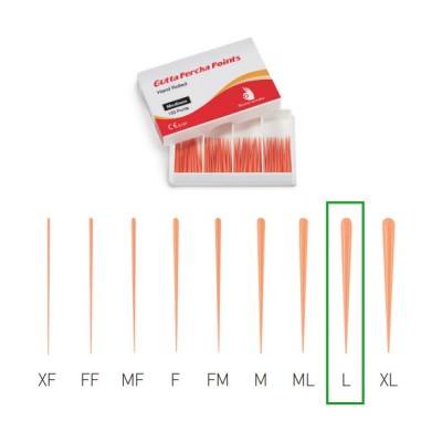 Sure-Endo Gutta Percha Points L